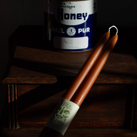 Terracotta Beeswax Taper Candles