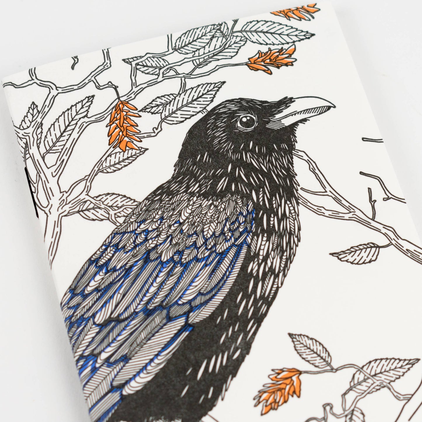 Common Raven Pocket Notebook
