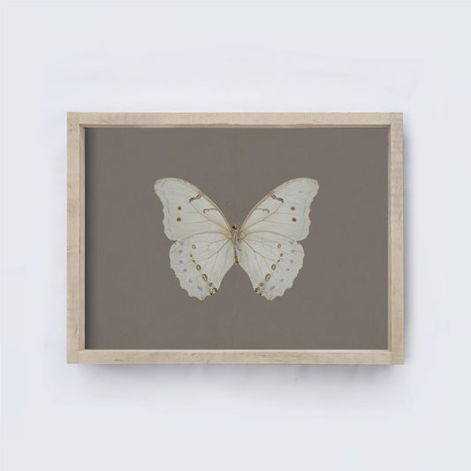 Butterfly Print 8.5x7"