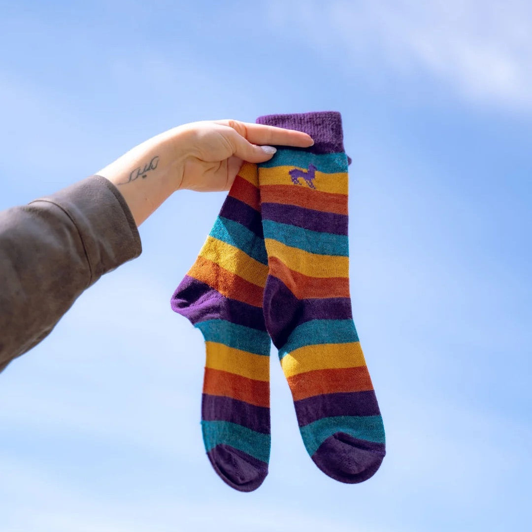Carnival Skies Alpaca Socks