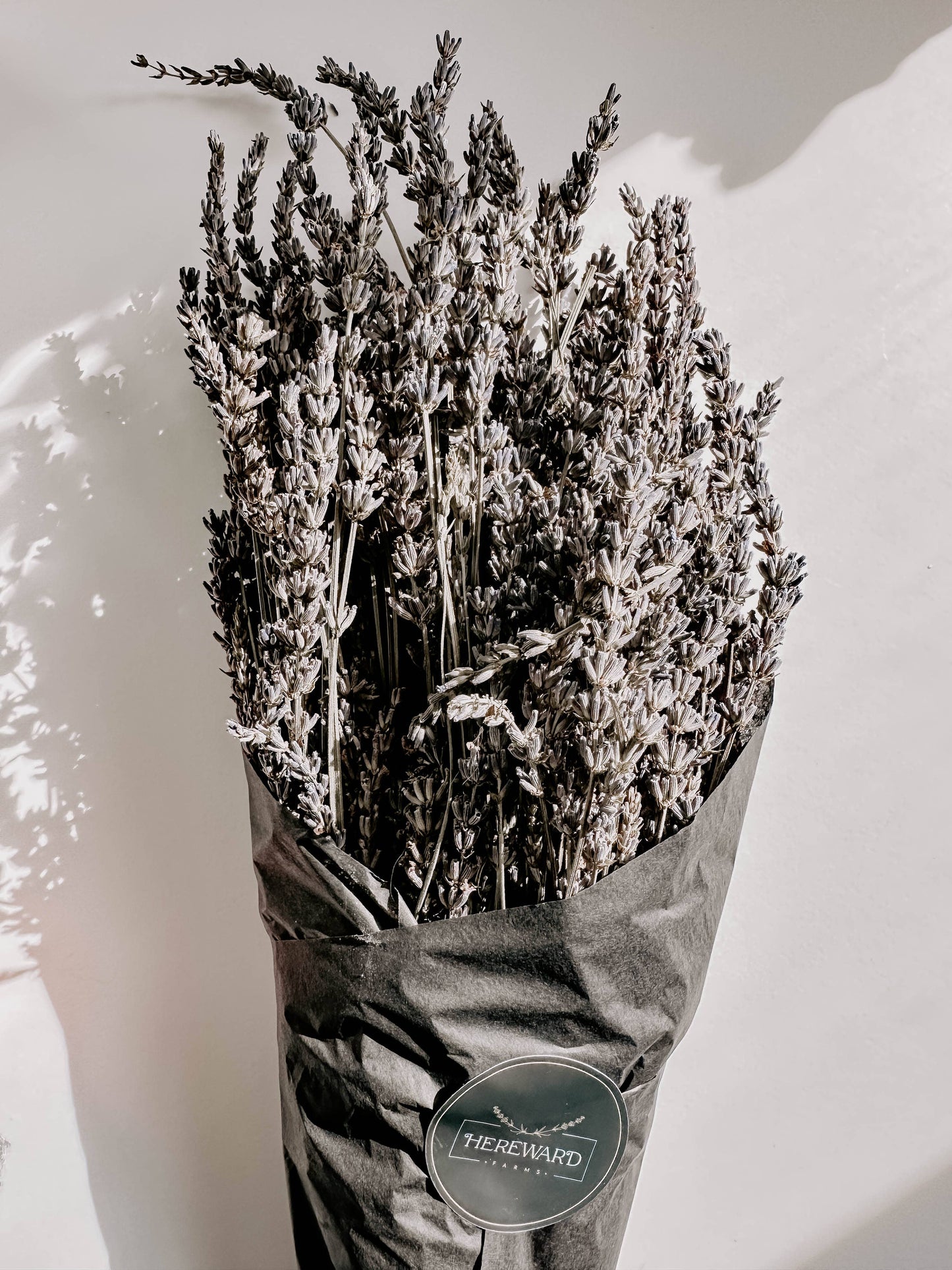 Dried French Lavender Bunch
