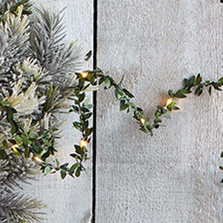 Mistletoe Wire LED String Lights Green