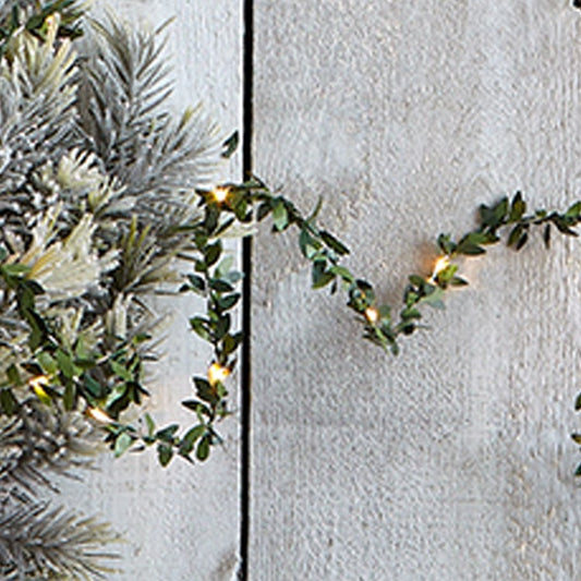 Mistletoe Wire LED String Lights Green