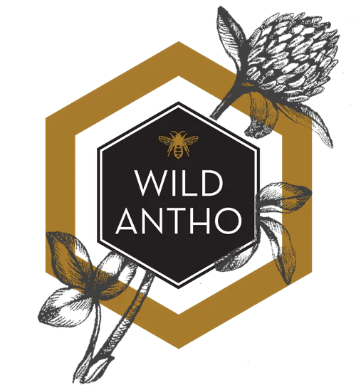 Wild Antho Queen