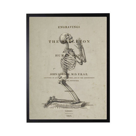 Praying Skeleton Poster 8" X 10"