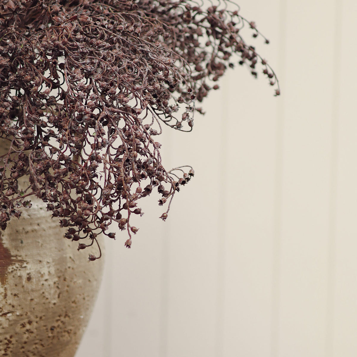Dripping Dried Berry Spray