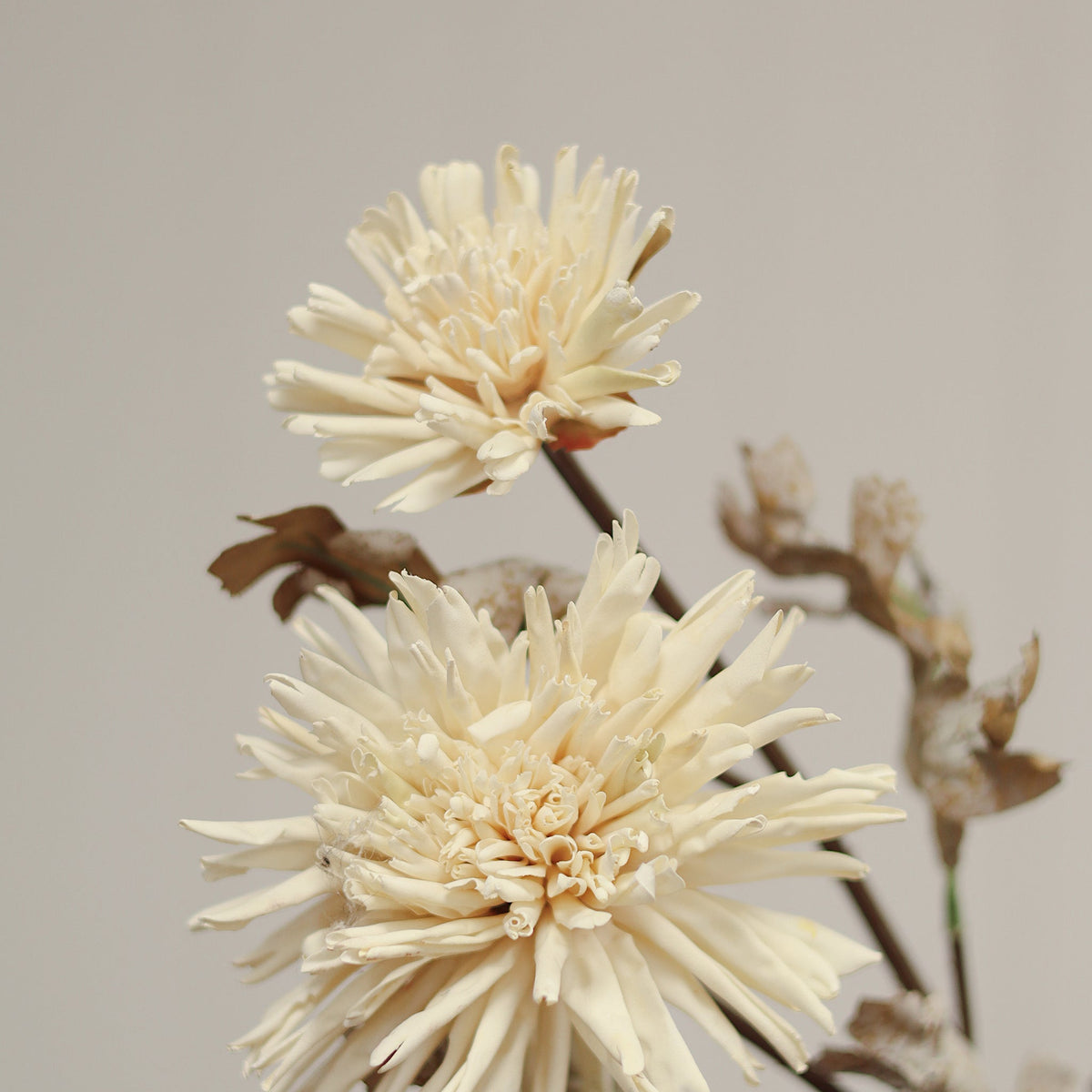 Real Touch Blooming Dahlia Spray, Cream
