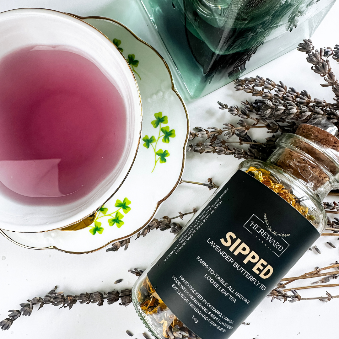 Herbal Tea Sipped Lavender Herbal Tea