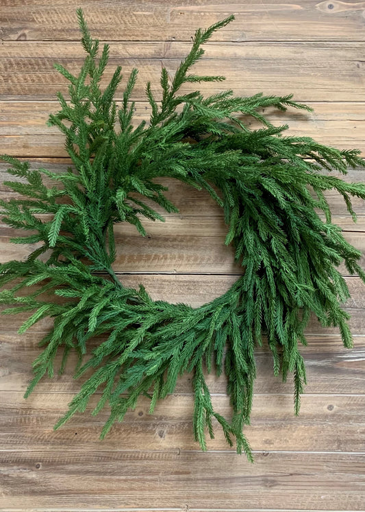 Fresh Touch Norfolk Pine Wreath 22"
