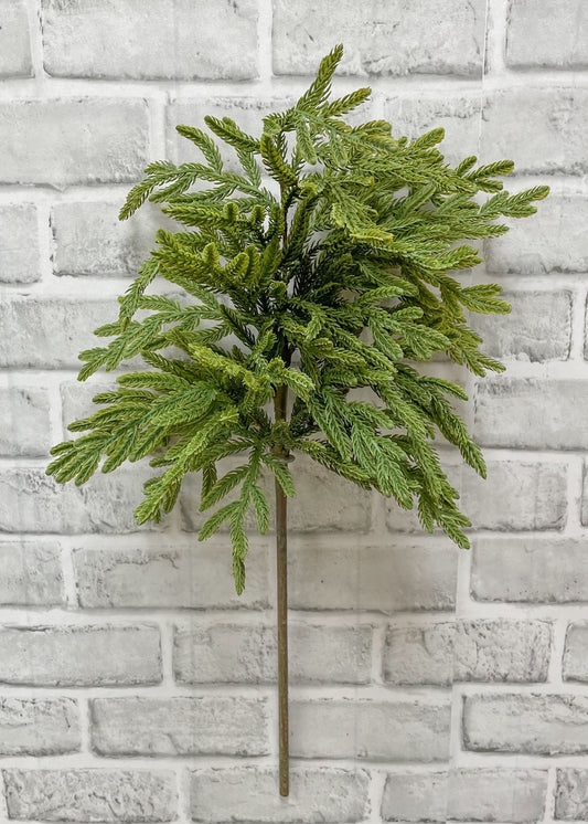 Fresh Touch Baby Norfolk Island Pine Spray 23"