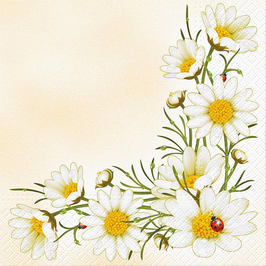 Lg Bouquet of Daisies Napkins 20Pk