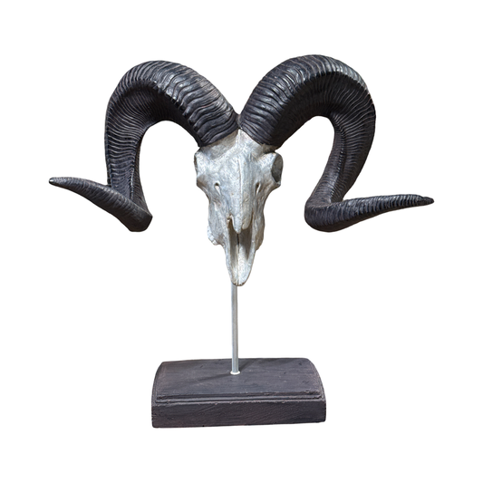 Resin Sheep Skull on Stand