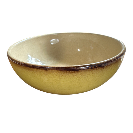 Vintage Medalta Bowl 8"