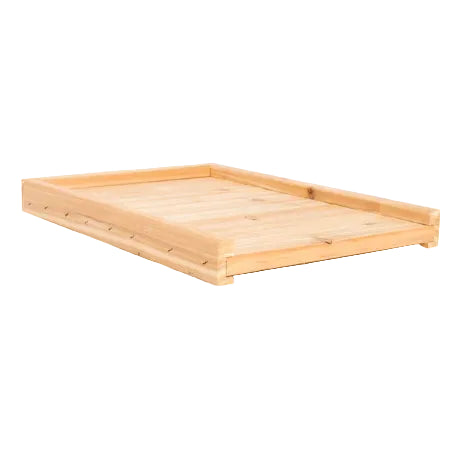 Bottom Board