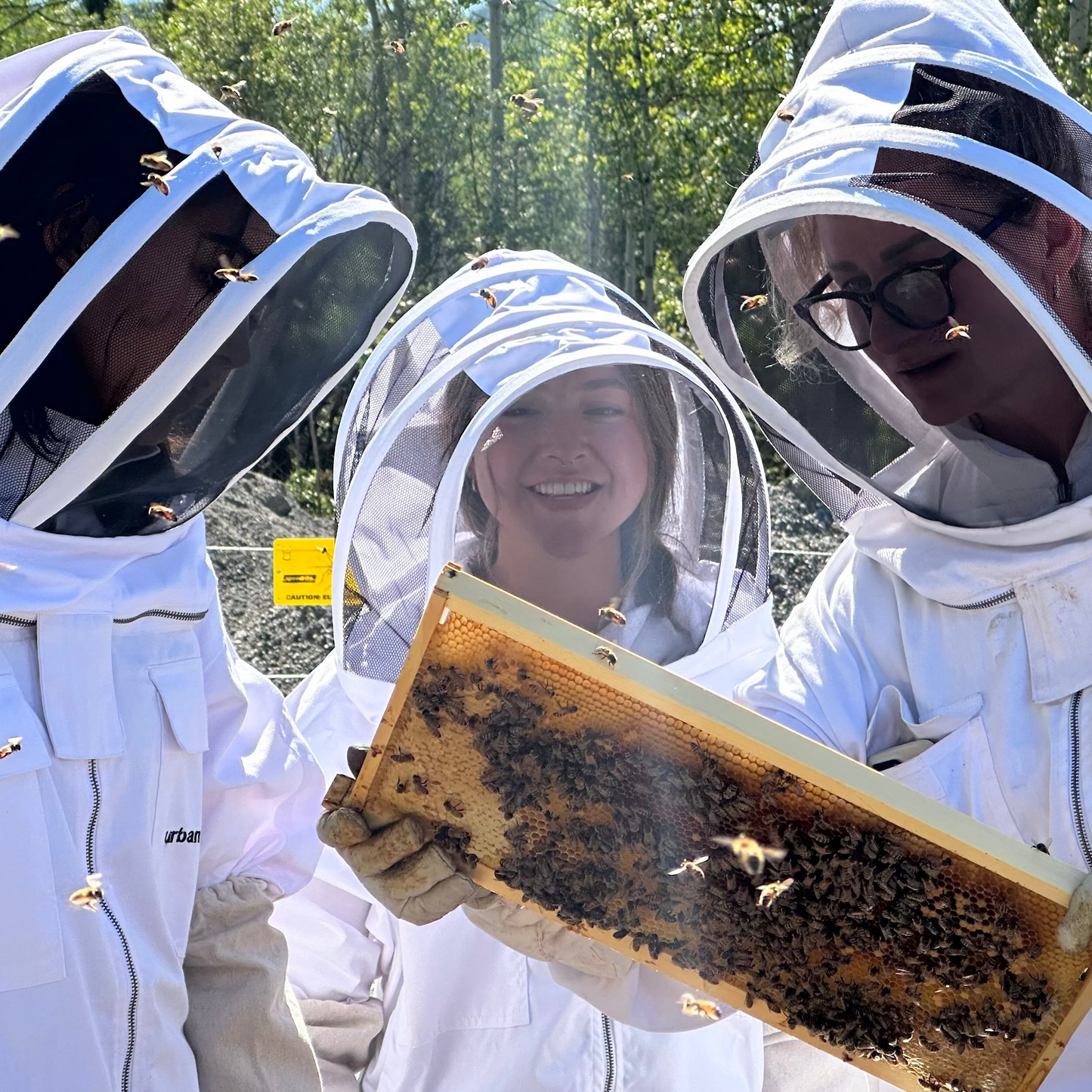 2026 Beekeeping Course