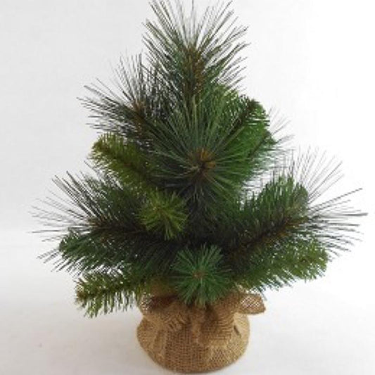 14" mixed pine burlap tree