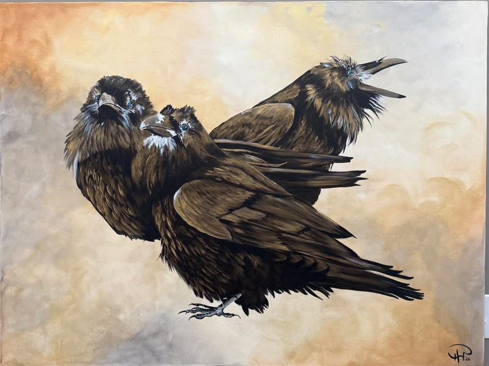 Snowy Ravens 36x48" Painting