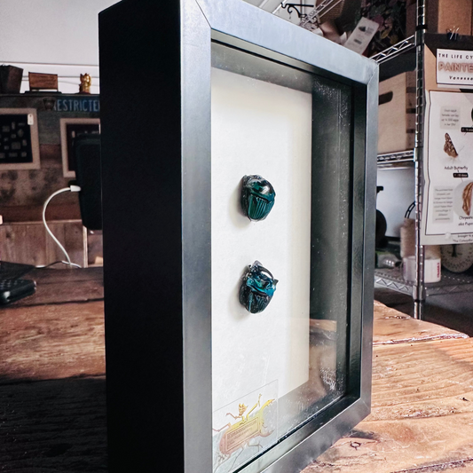 Emerald Green Scarab Pair Shadowbox 6x8