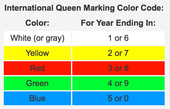 Queen Posca marking pens *LENDERS*