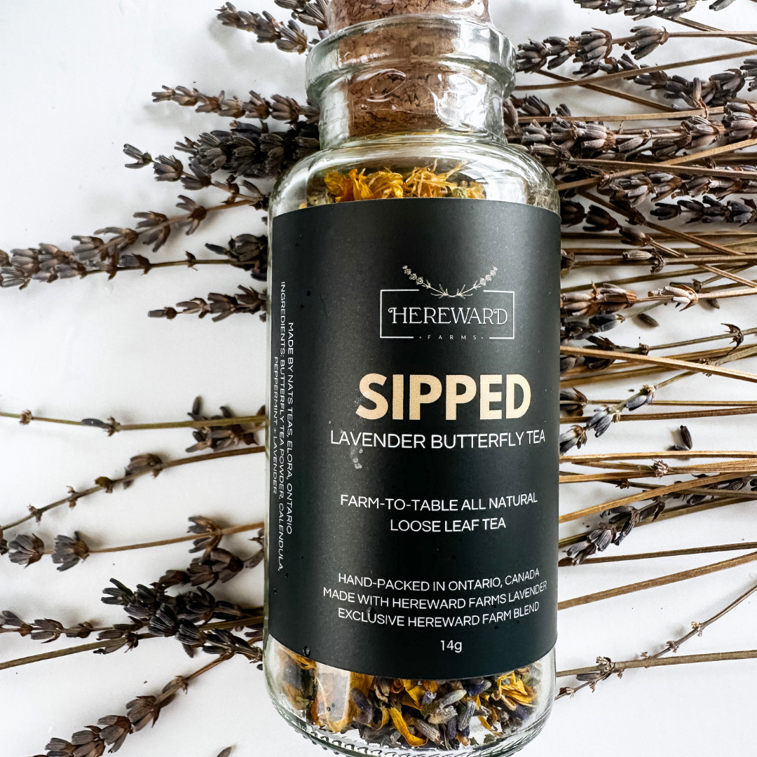 Herbal Tea Sipped Lavender Herbal Tea