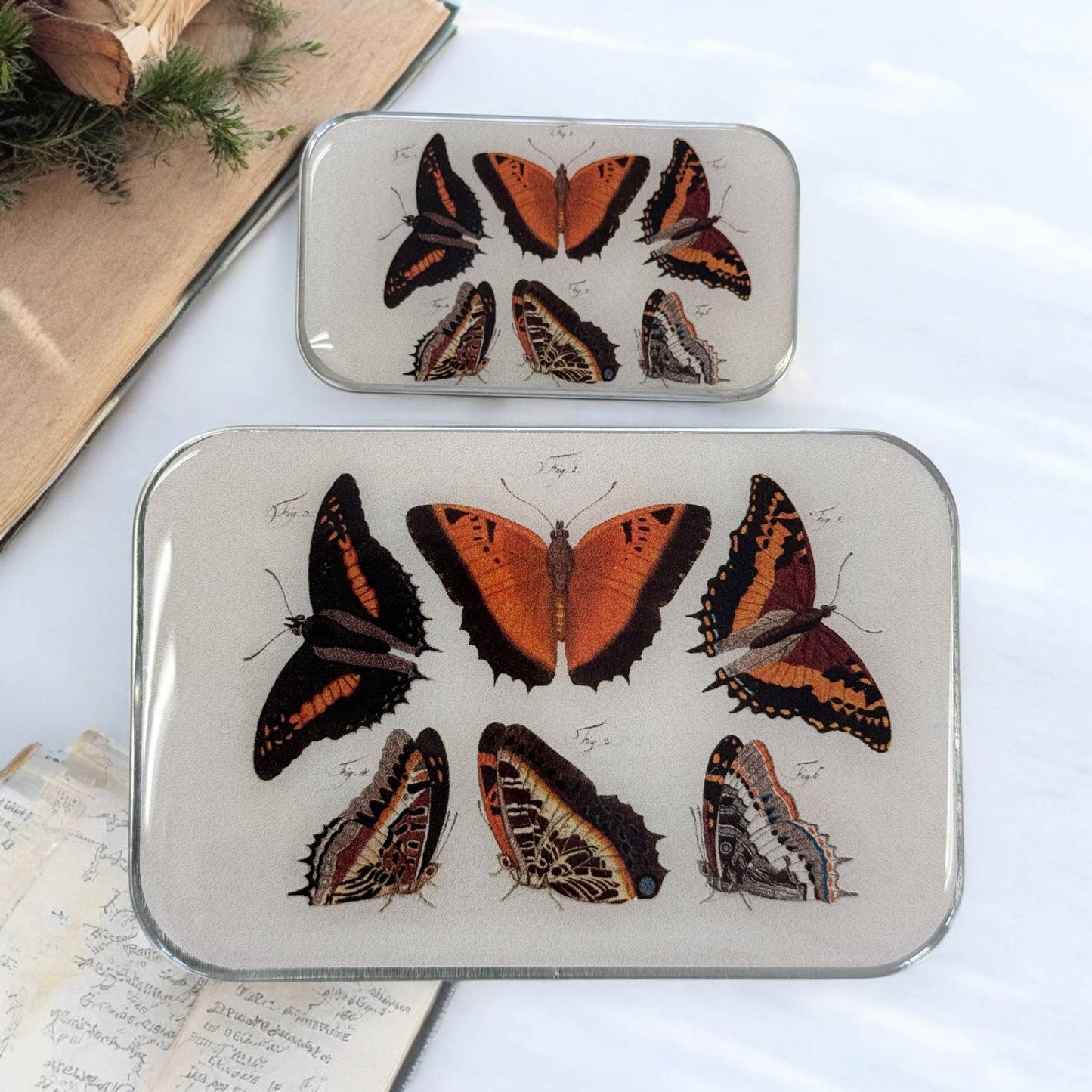 Orange Butterflies Notions Tin: Large