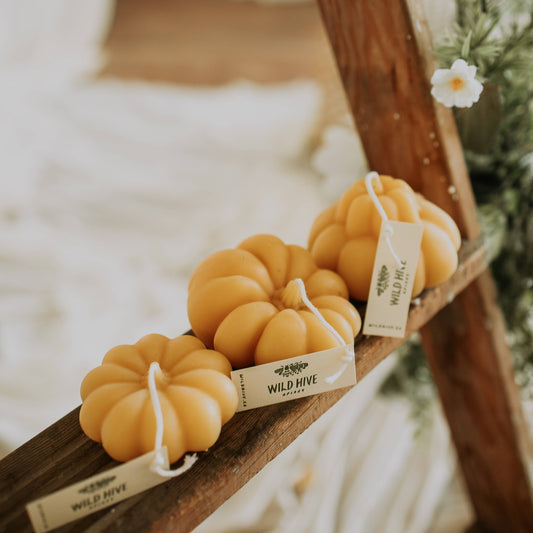 Harvest Pumpkin Collection