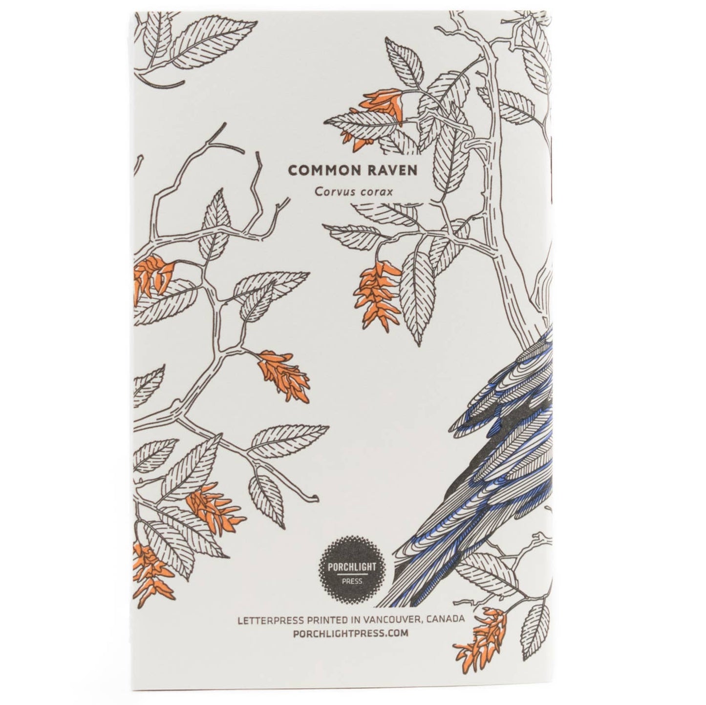 Common Raven Pocket Notebook
