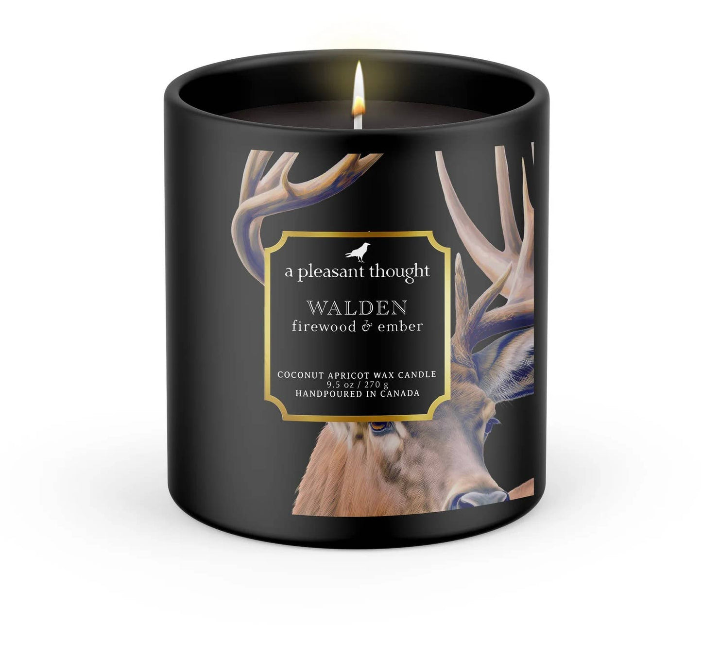 WALDEN Firewood & Ember Candle