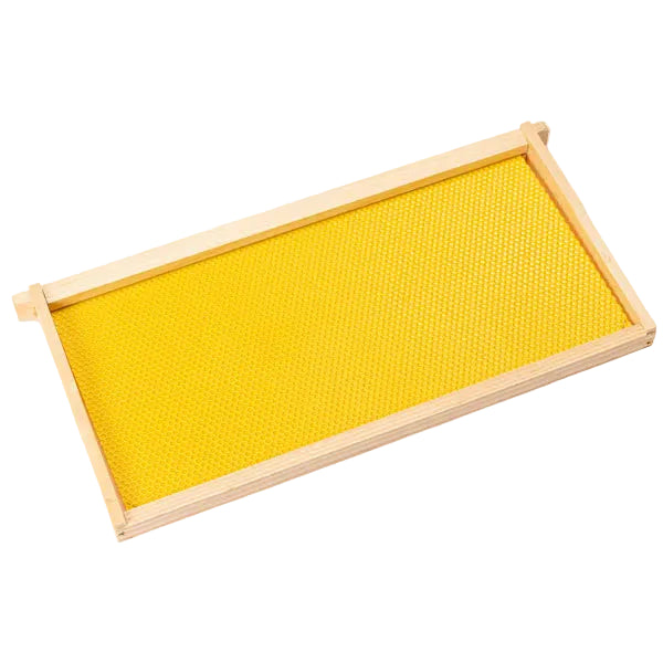 Frame + foundation DEEP Yellow (fully assembled)