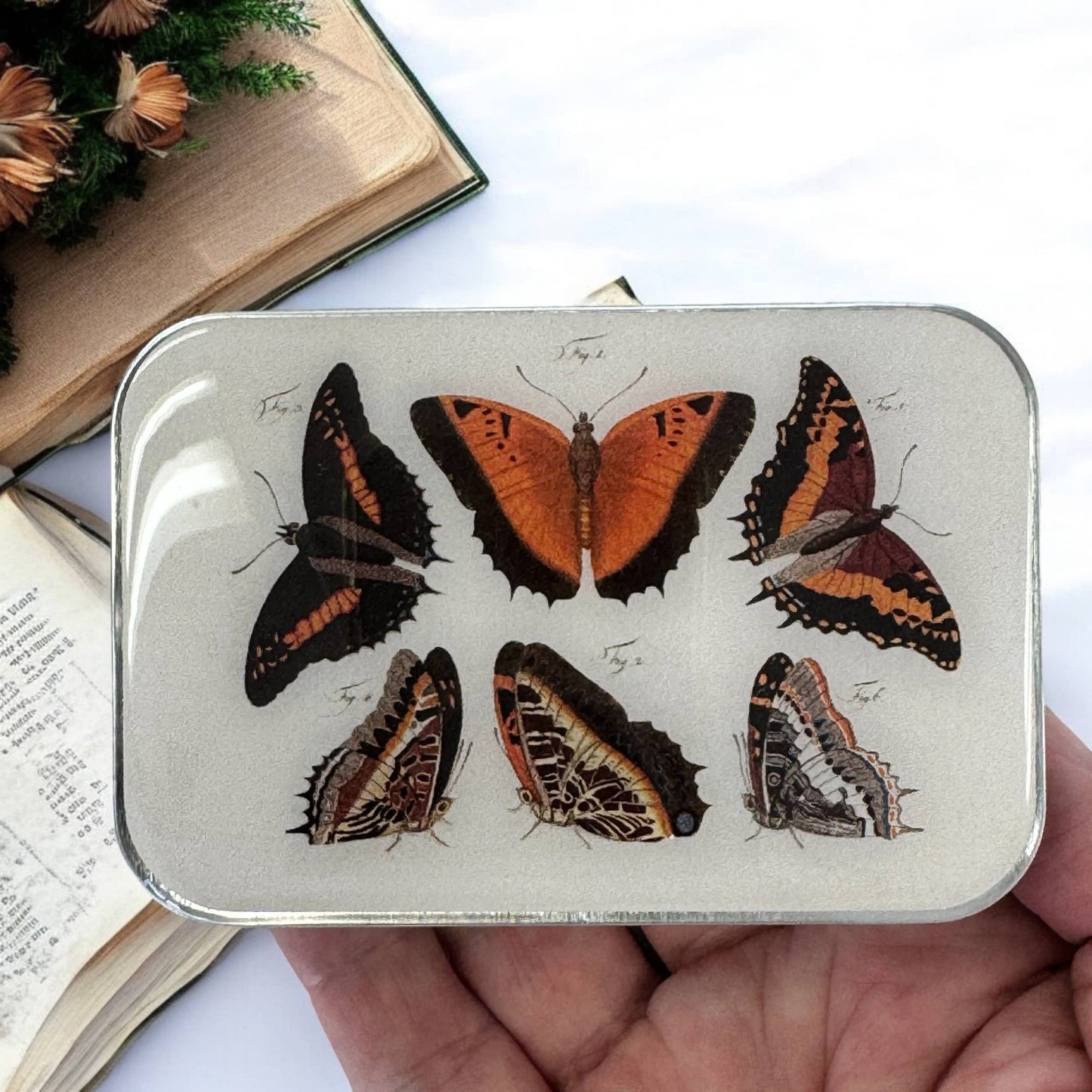 Orange Butterflies Notions Tin: Small