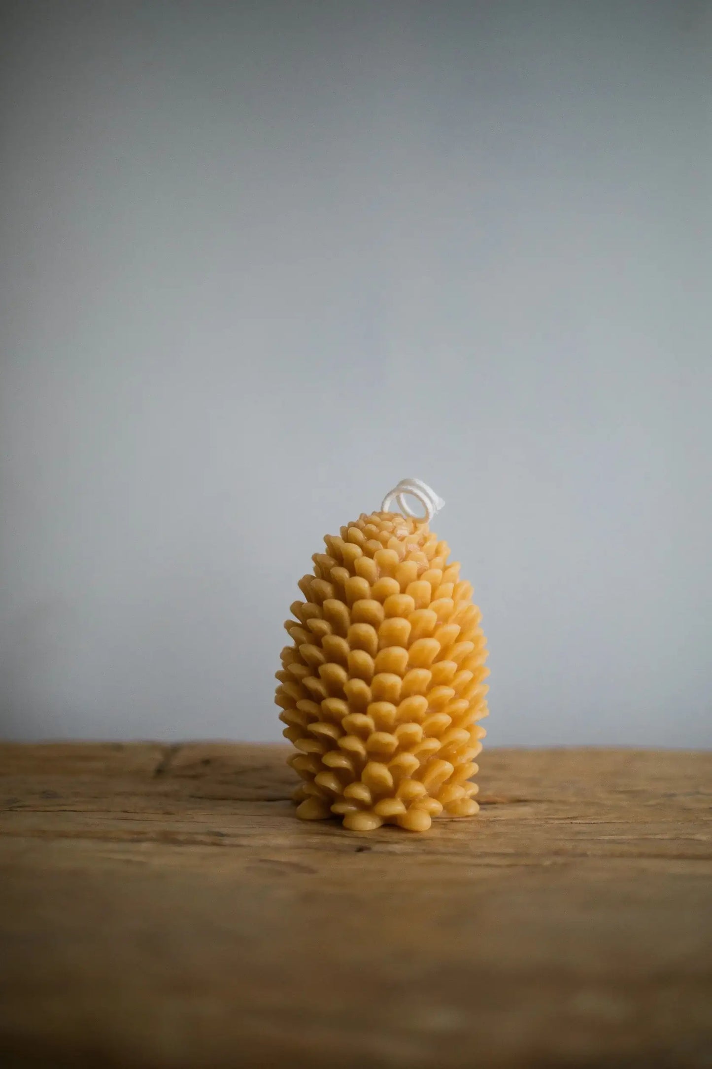 Pinecone Beeswax Candle