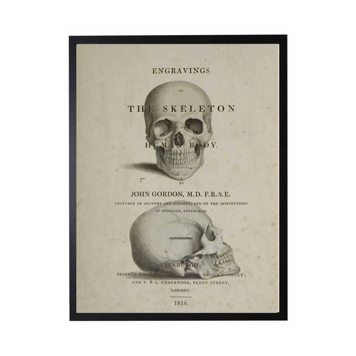 Skull Poster 8" X 10"