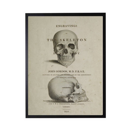 Skull Poster 8" X 10"