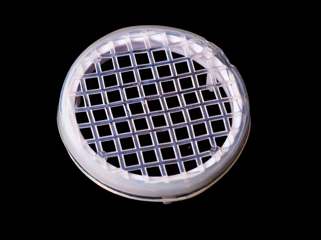 Queen frame marking cage