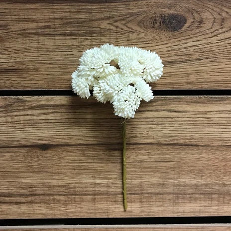 9" White Real Touch Sedum Pick