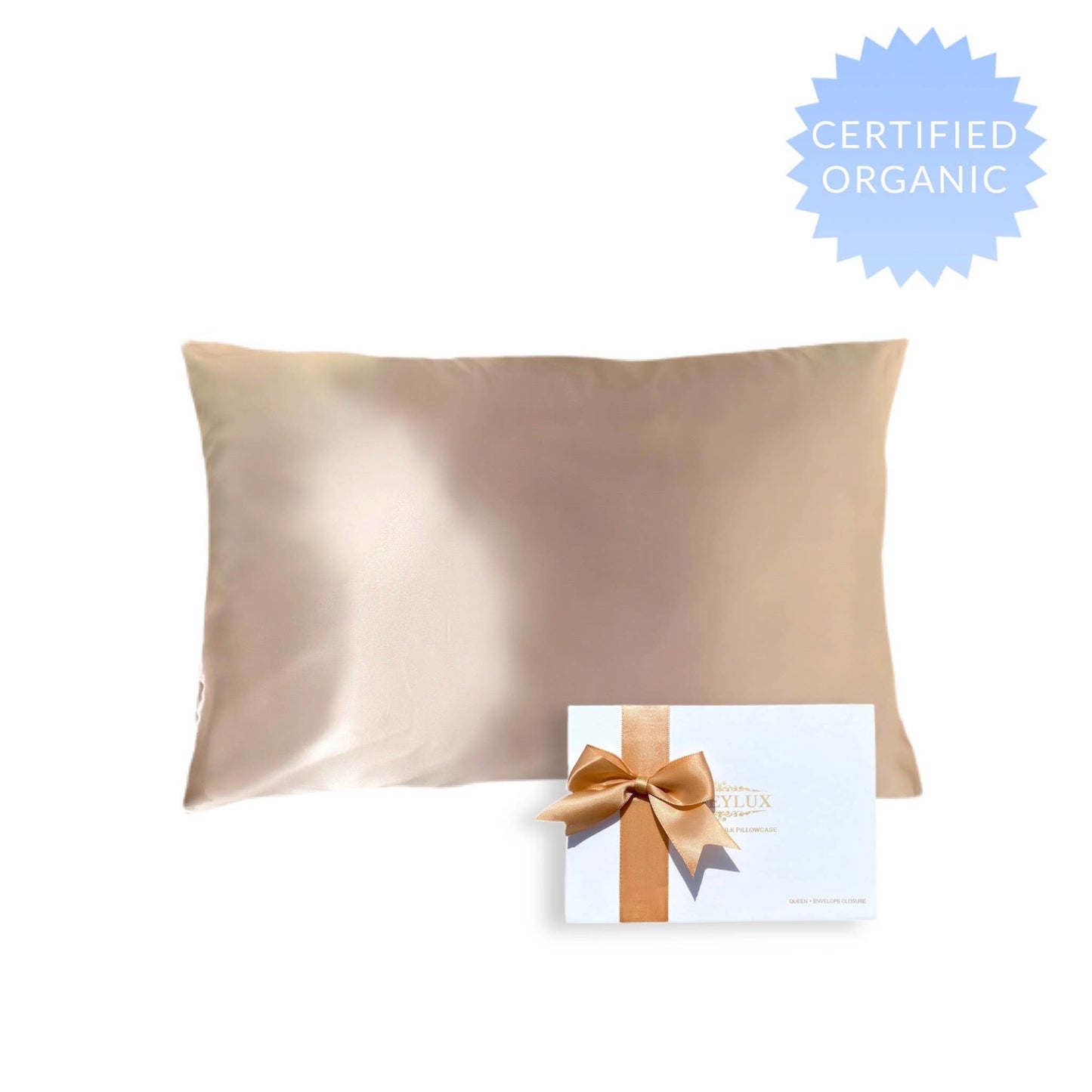 Queen silk pillowcase CHAMPAGNE